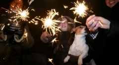 Како да му помогнете на кучето да преживее сезона на огномет